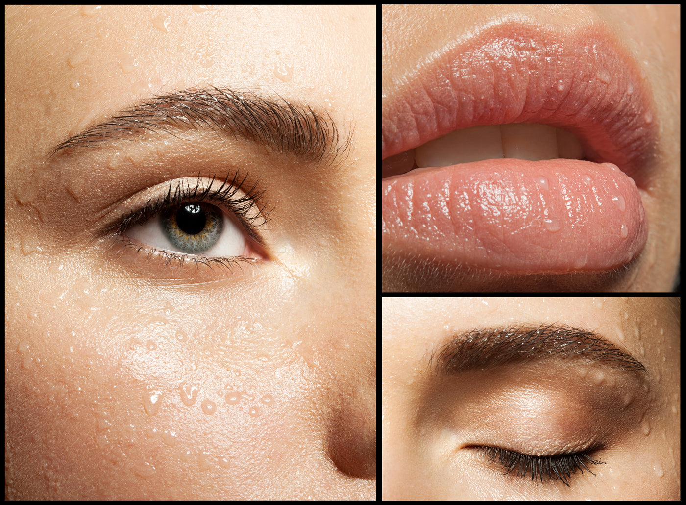 The New You Package